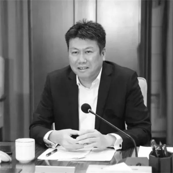 曹颖履新建行天津分行行长，新篇章开启，金融实践与展望