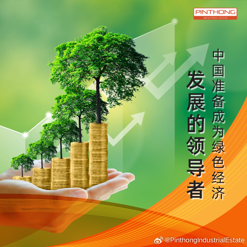 绿色投资，推动可持续经济发展的关键力量