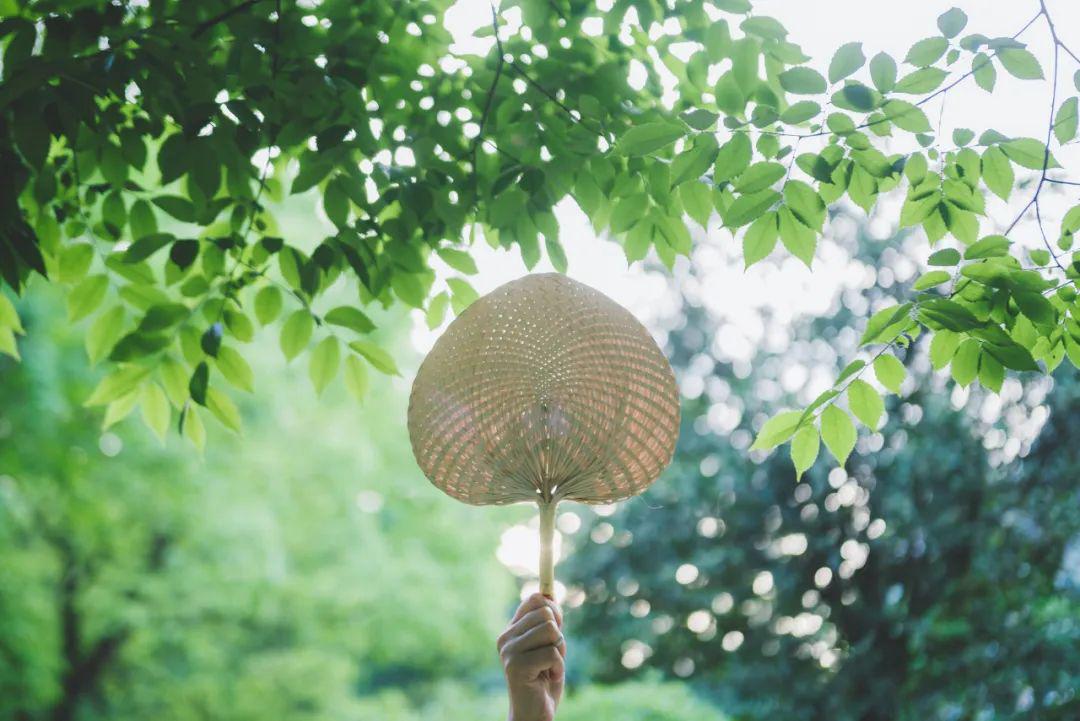 热浪后的清凉之风，惬意瞬间来临