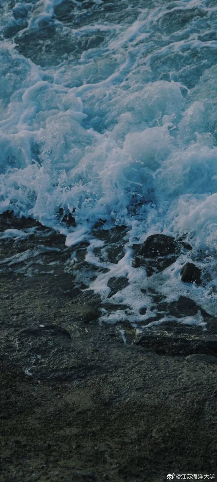 海风吹拂，深海魅力的独特气息