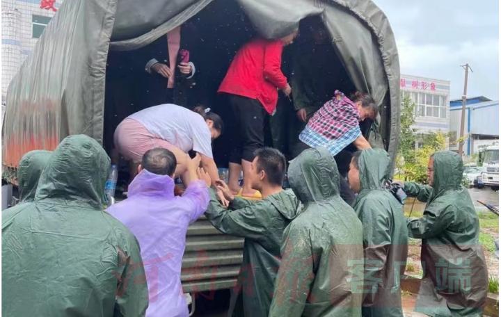 阳光普照下的生机盎然街巷