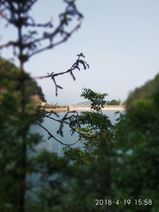 青山绿水间的自然乐章，鸟鸣回荡耳畔