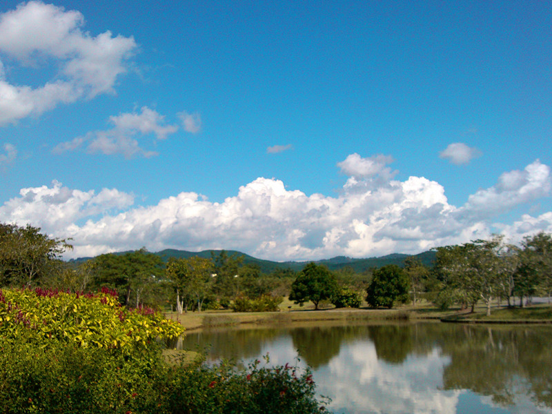 公园池塘映蓝天白雲美景