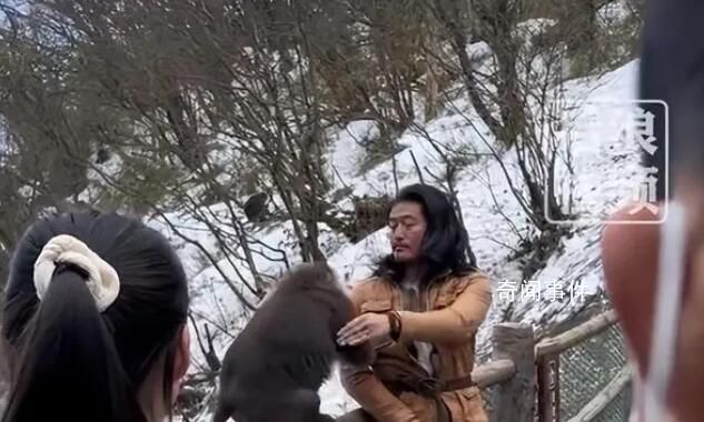 官方回应人猴对峙事件，和谐共处需共同努力