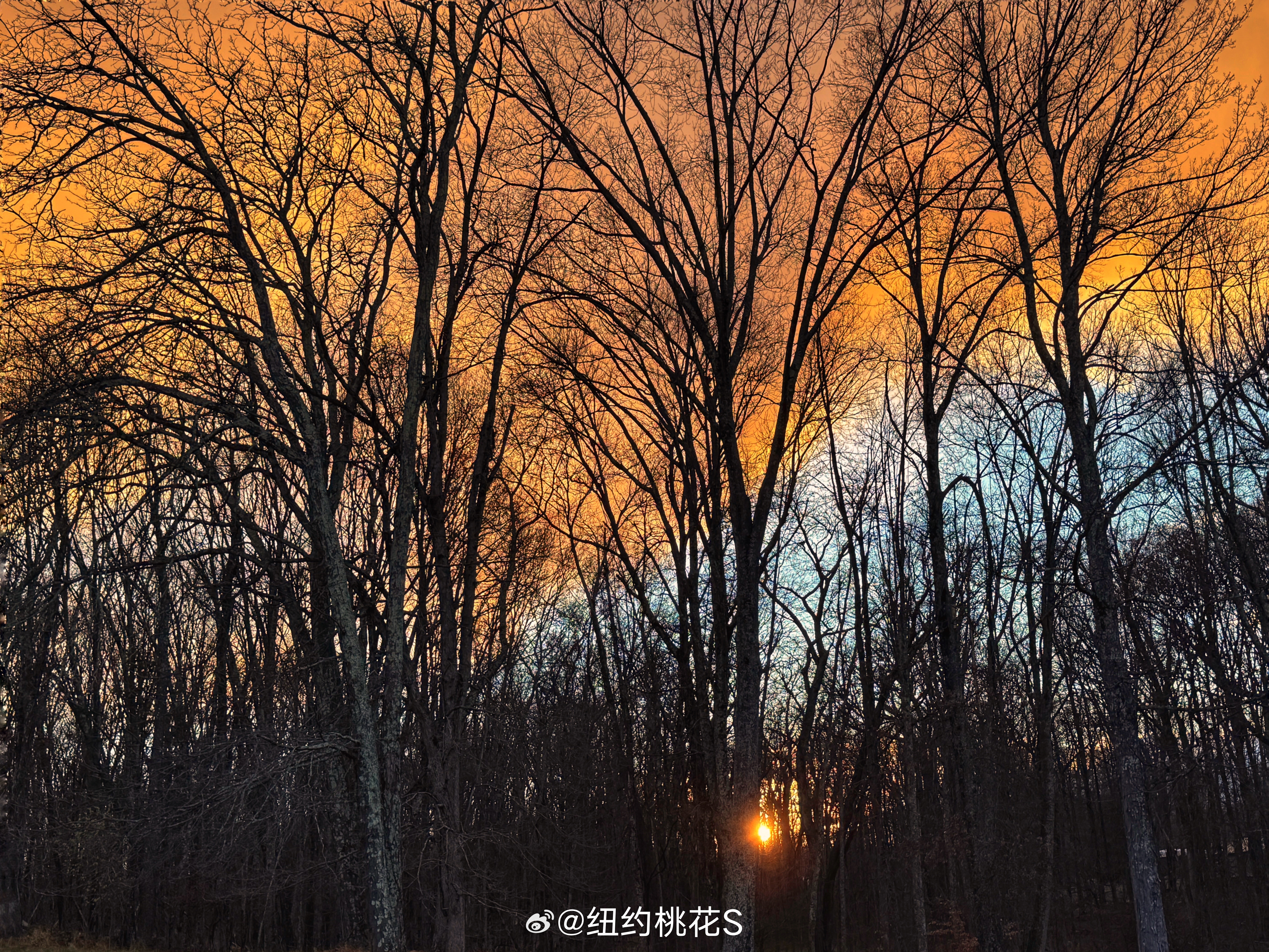 黄昏金色阳光普照大地