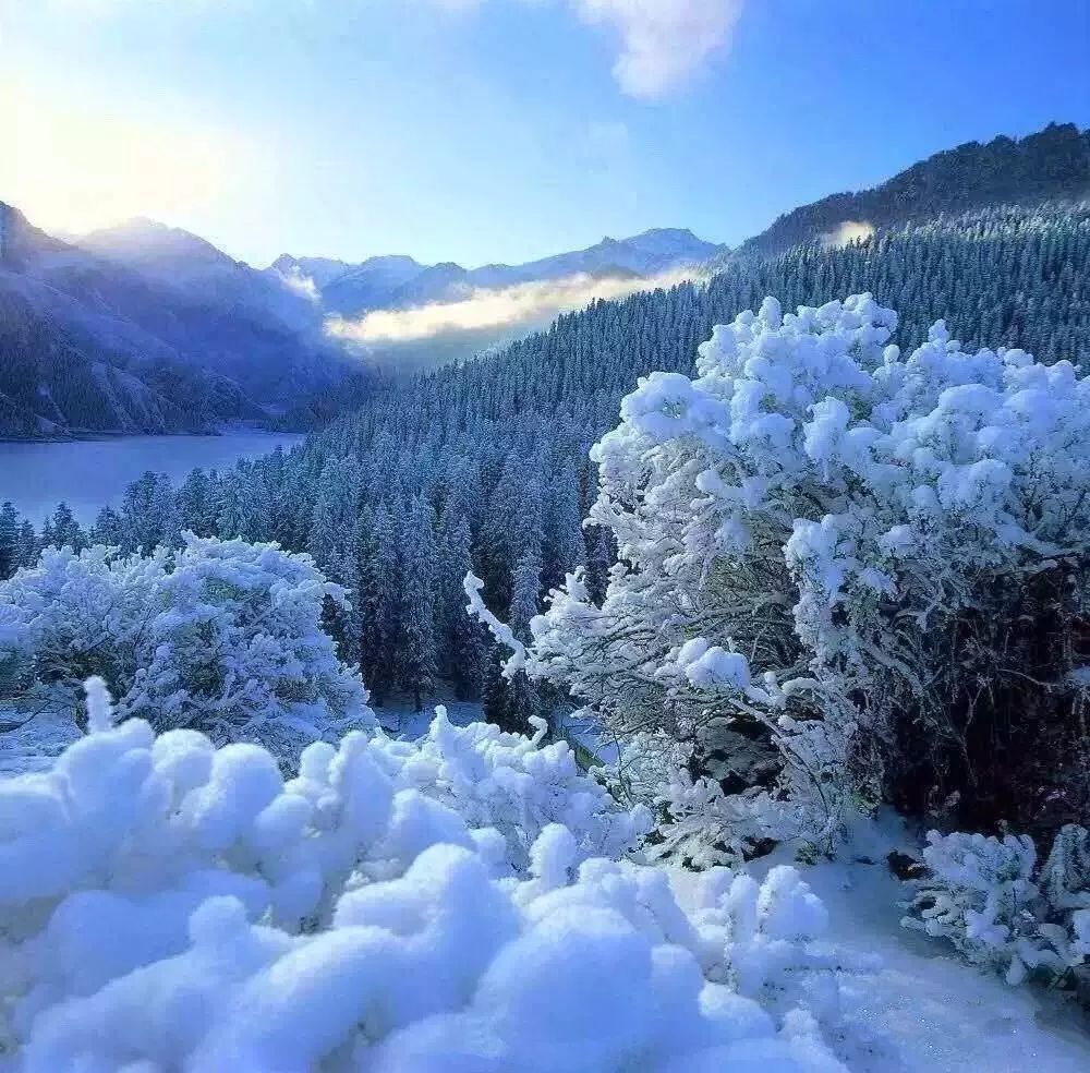 远山雪辉，阳光下的绚丽画卷