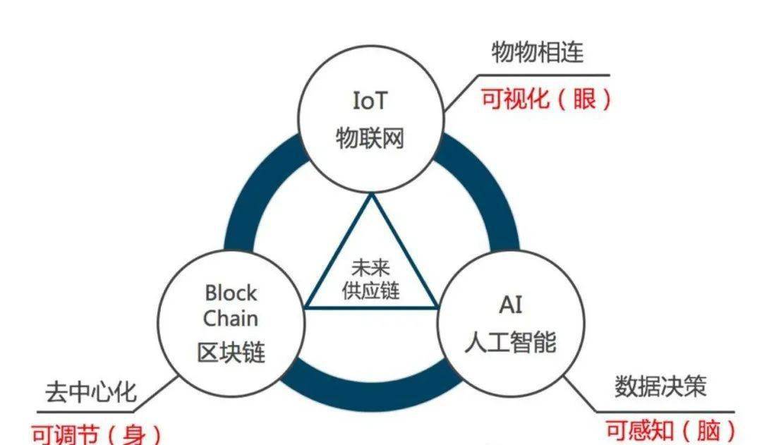 自动化物流提升现代供应链效率的关键策略
