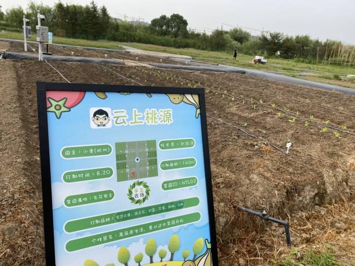 机器人推动现代农业智能化转型