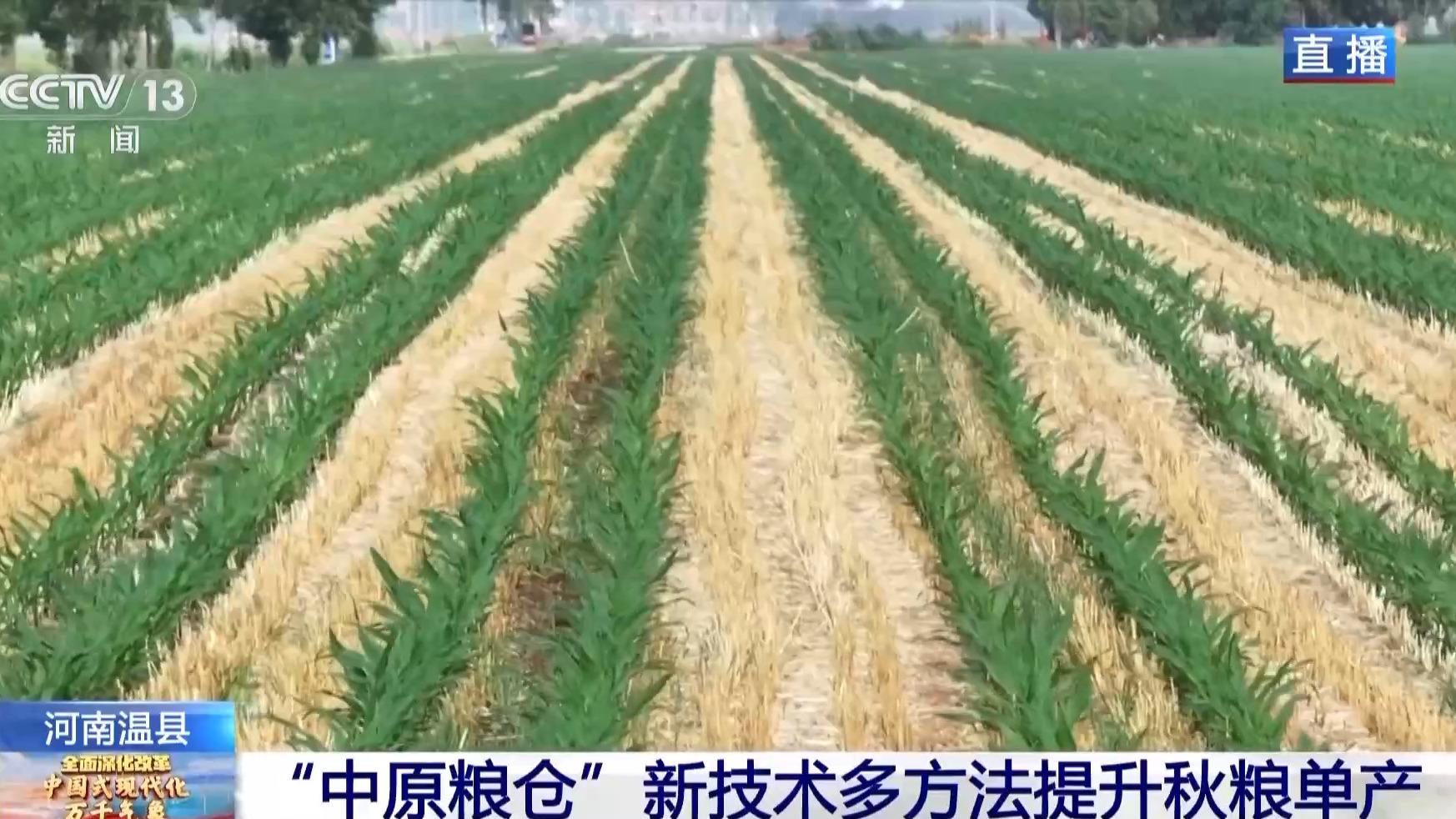 技术助力精准农业实现可持续发展提升之道