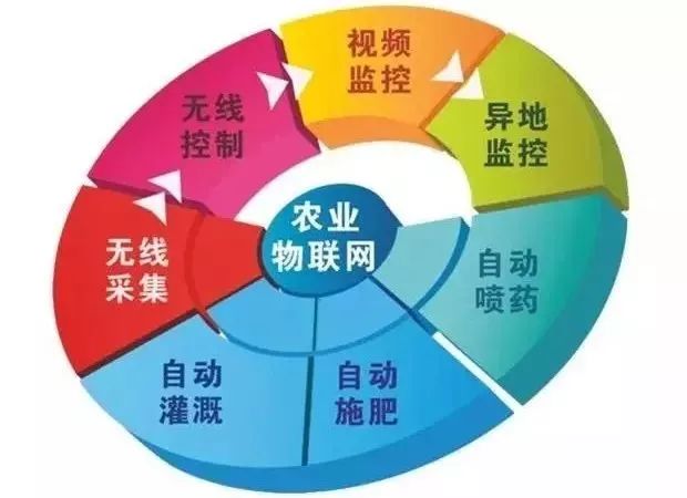 物联网技术助力农业生产精准化管理变革
