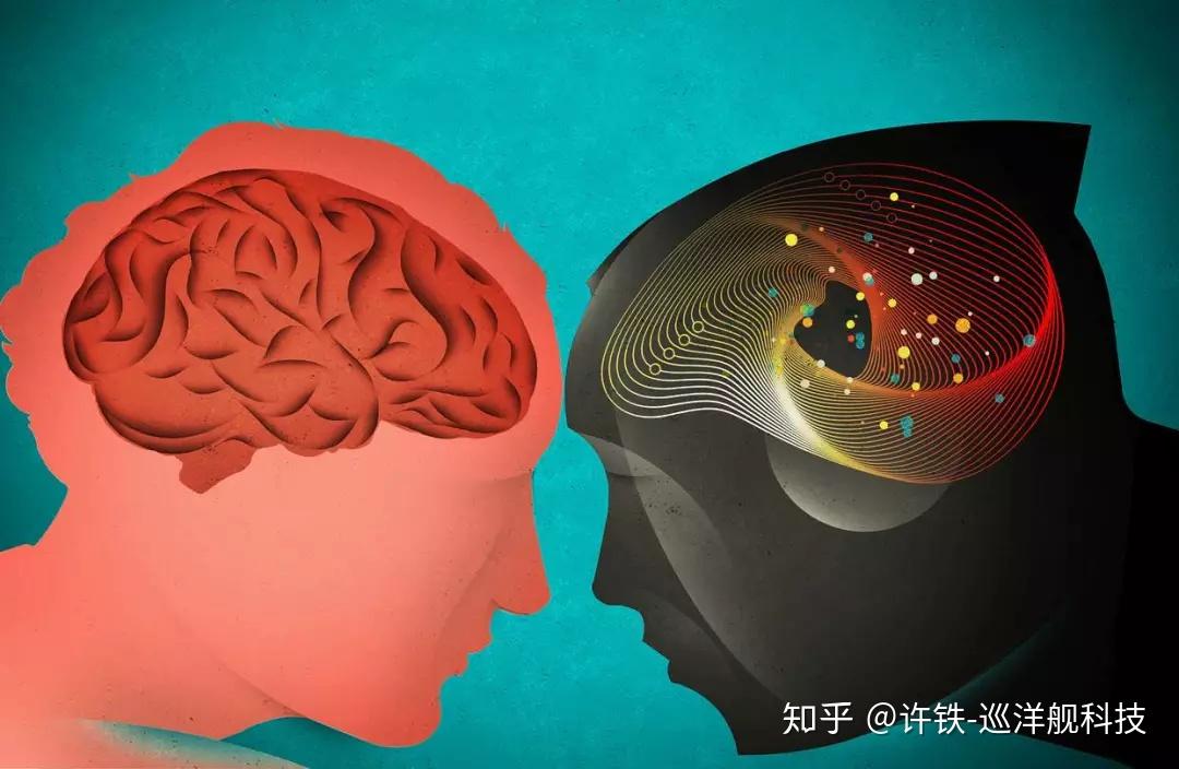 脑科学进展对改善人类认知和记忆的影响研究