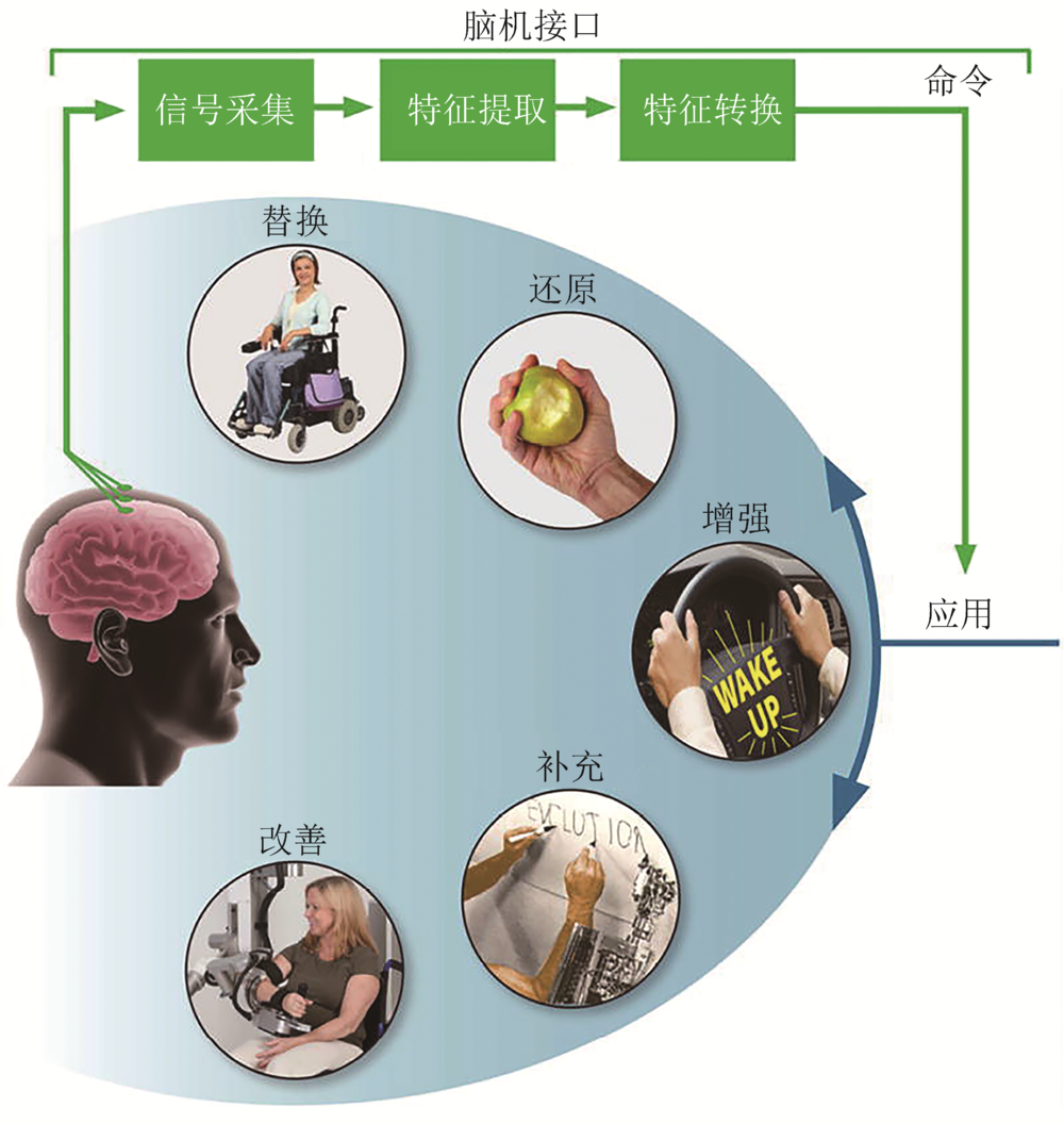 脑机接口技术，突破生理界限的新纪元