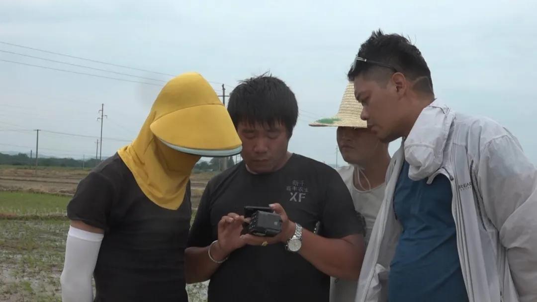 无人机在农业监测中的效率提升途径及未来应用前景展望