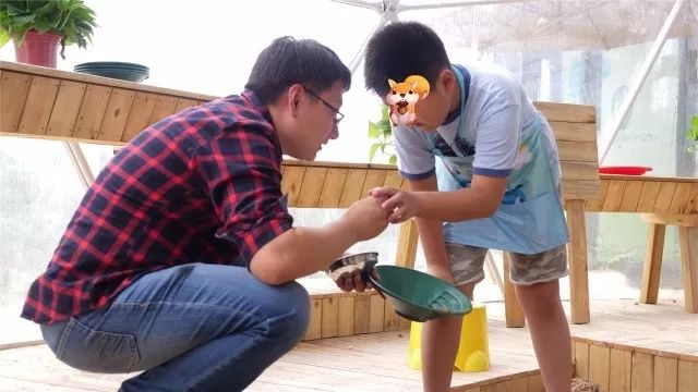 如何协助孩子理解团队协作的力量与价值