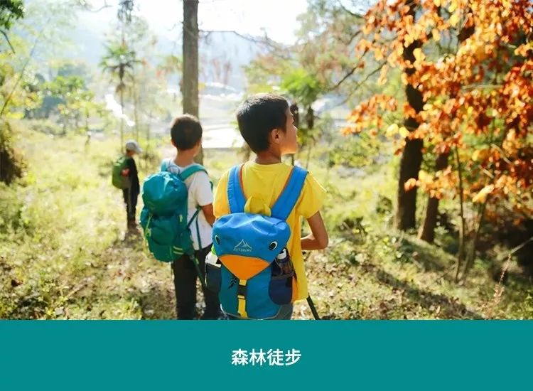 孩子自然活动中的观察与探索力培养