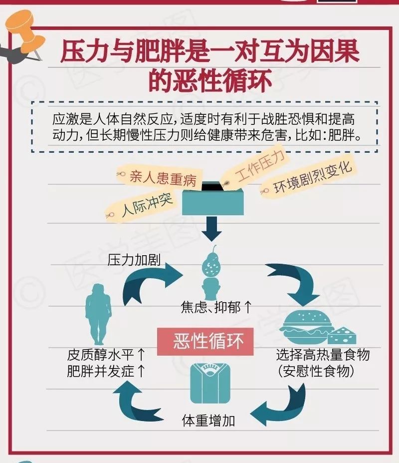 管理情绪与体重控制的紧密关联，情绪管理对防止体重增加的重要性