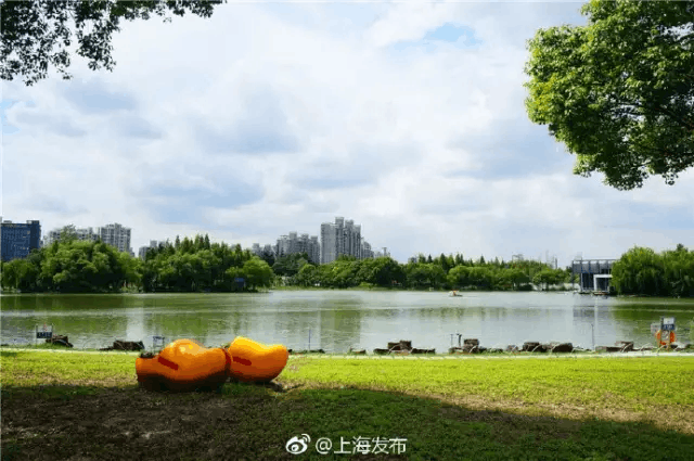 城市公园设计，自然景观与文化元素的完美融合