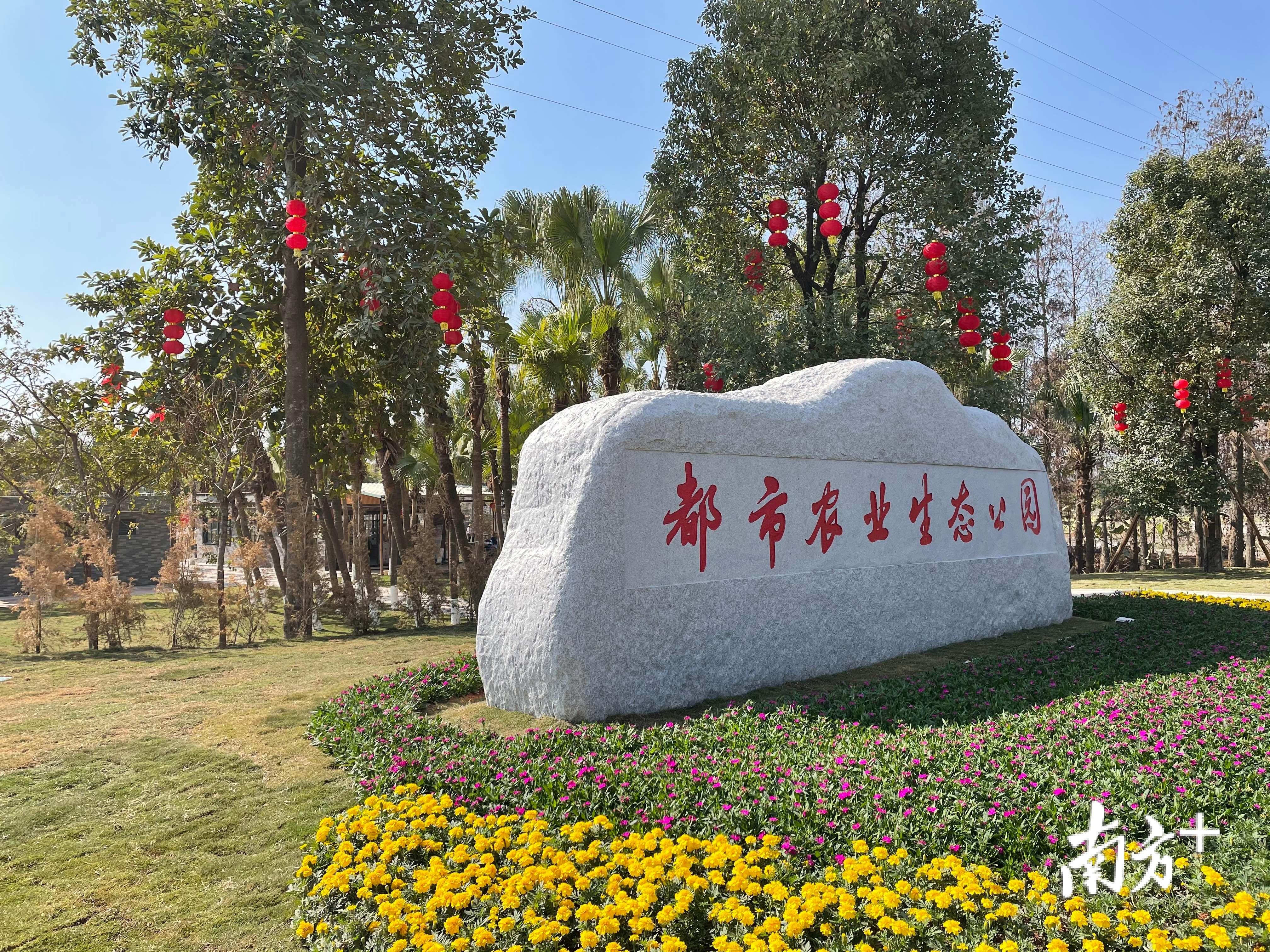 浮光掠影 第6页