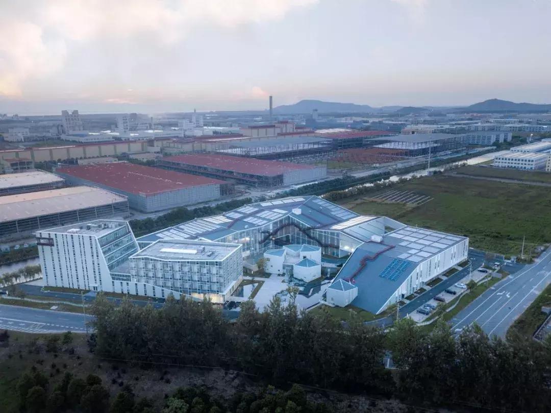 文学中的历史重构与社会反思，深度解读的视角