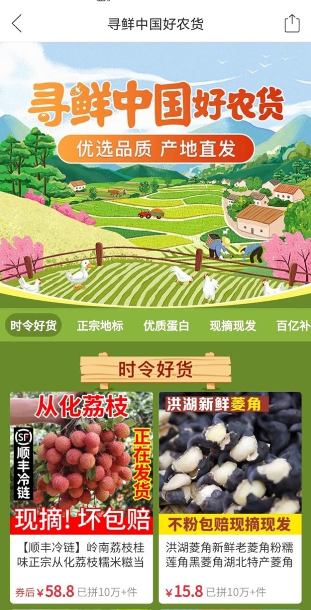 季节更迭中的鲜美食材探寻之旅