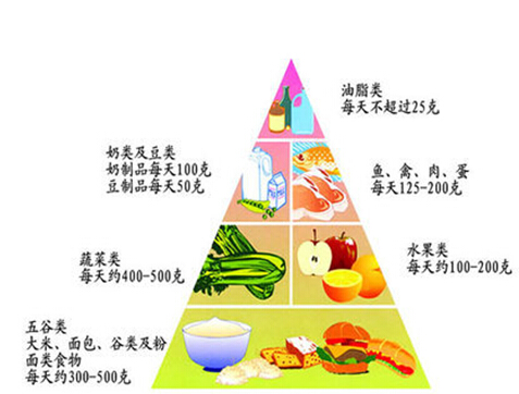 营养与味觉关系揭秘，科学搭配每餐，味觉营养双重满足