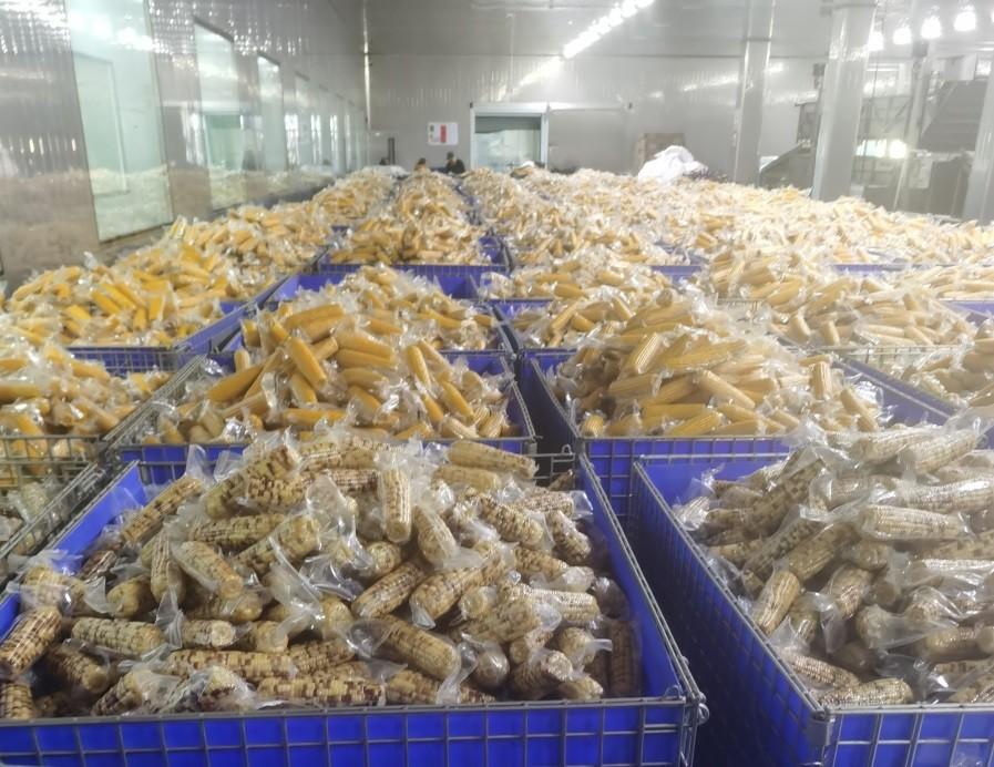 清风掠过 第7页