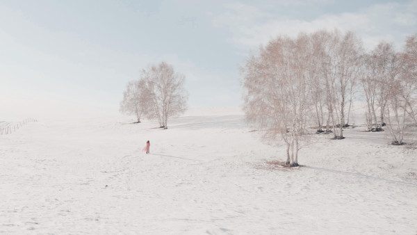 冰雪森林之旅，追寻自然的脚步
