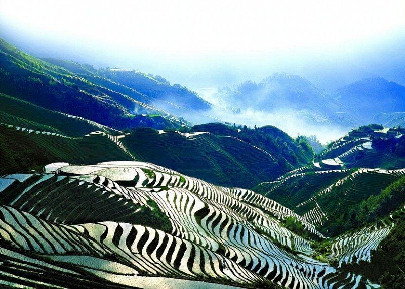 追寻梯田之美，领略农业智慧的力量