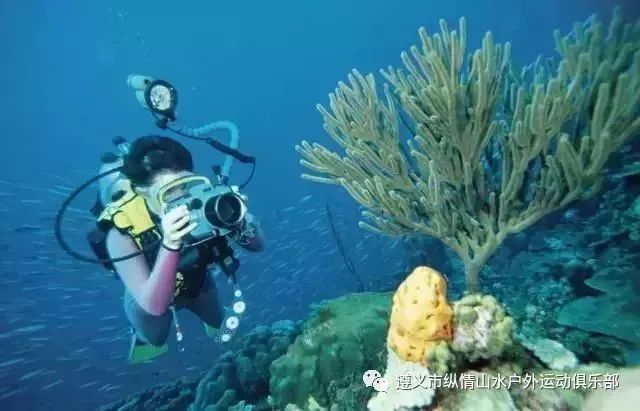 海风吹过的深海气息