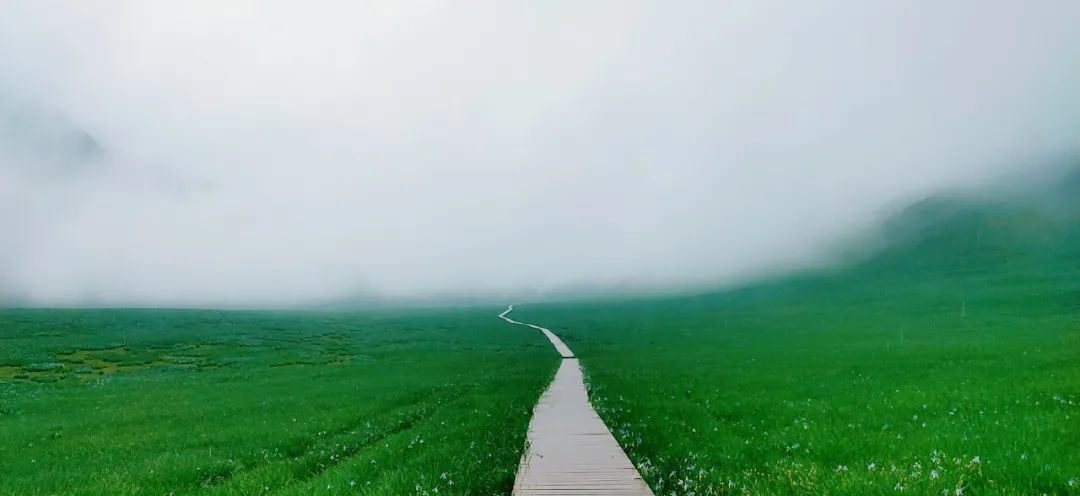 雨后大地的清新与湿润之美