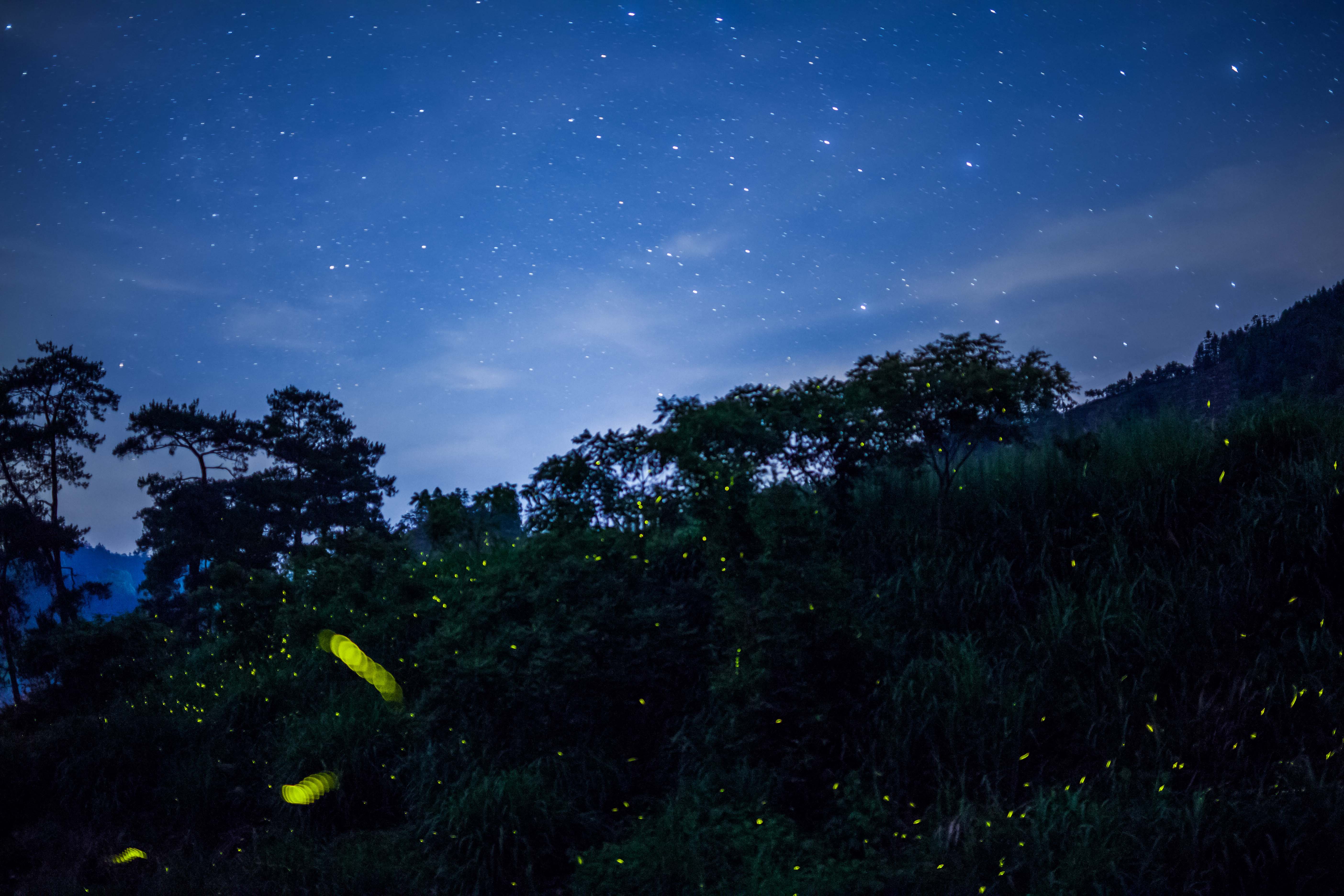 夜晚凉风，远方山林的静谧与凉意