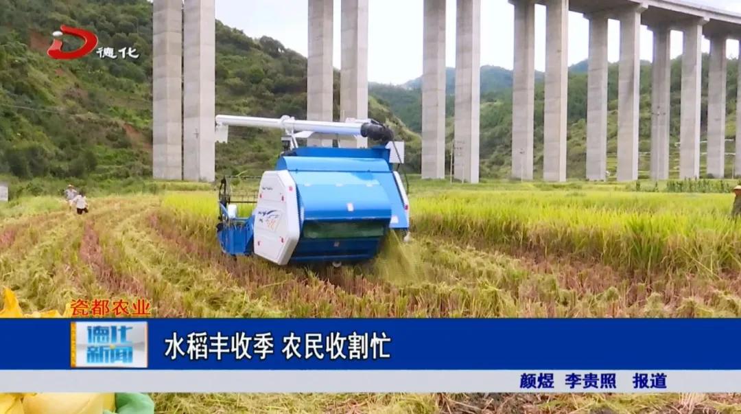 田野中的温暖旋律，阳光下农民的身影与希望