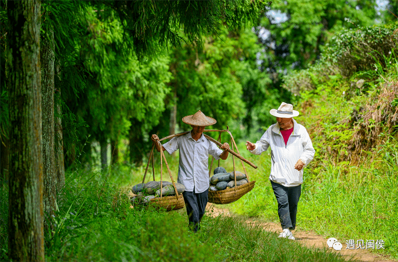 乡间古道上的岁月回忆漫步之旅