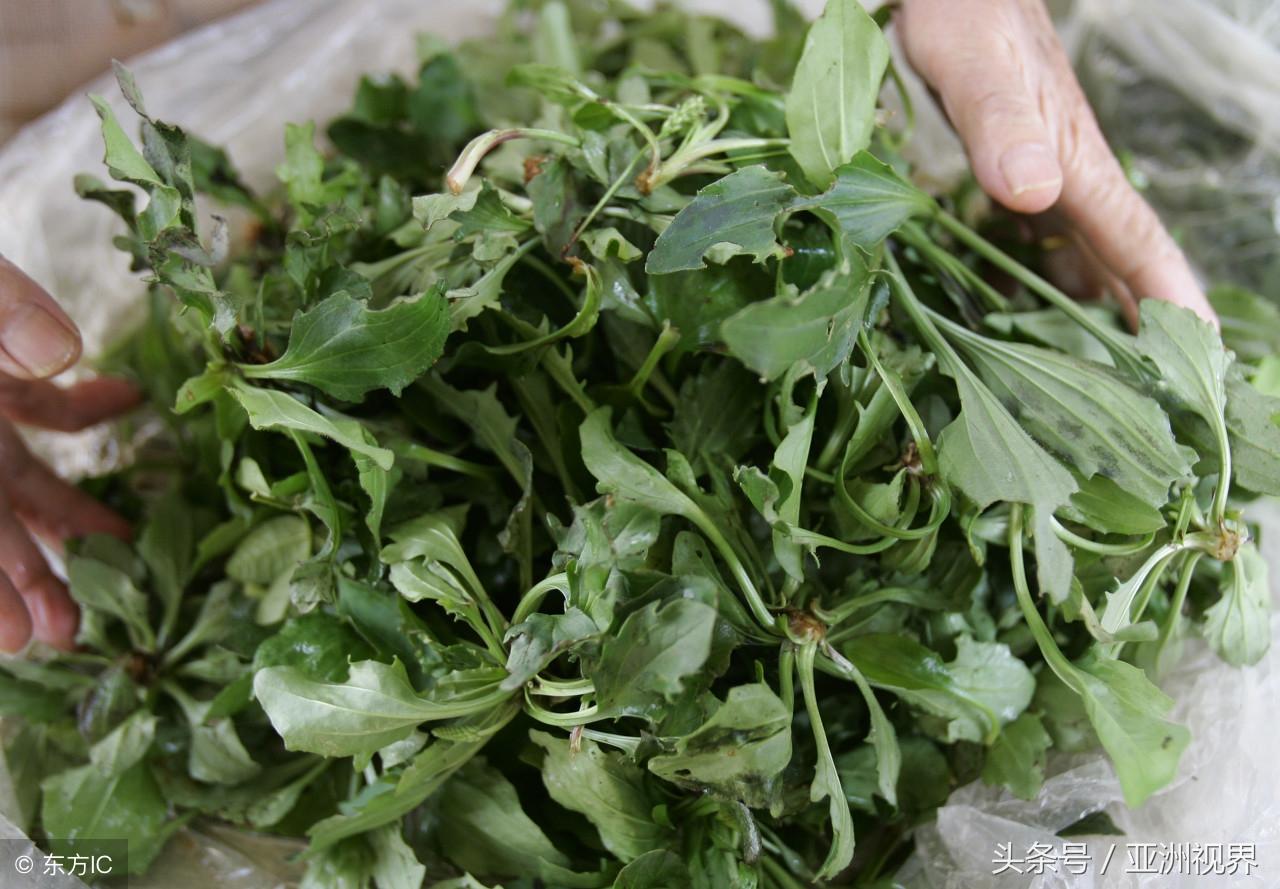 暖风拂面 第6页