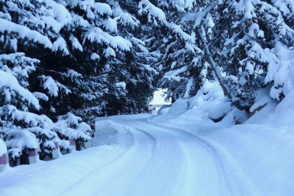 雪落无声 第6页