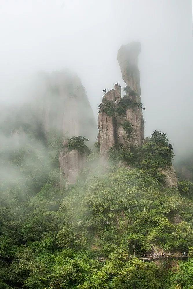 大海的怀抱，无边辽阔与自由的体验