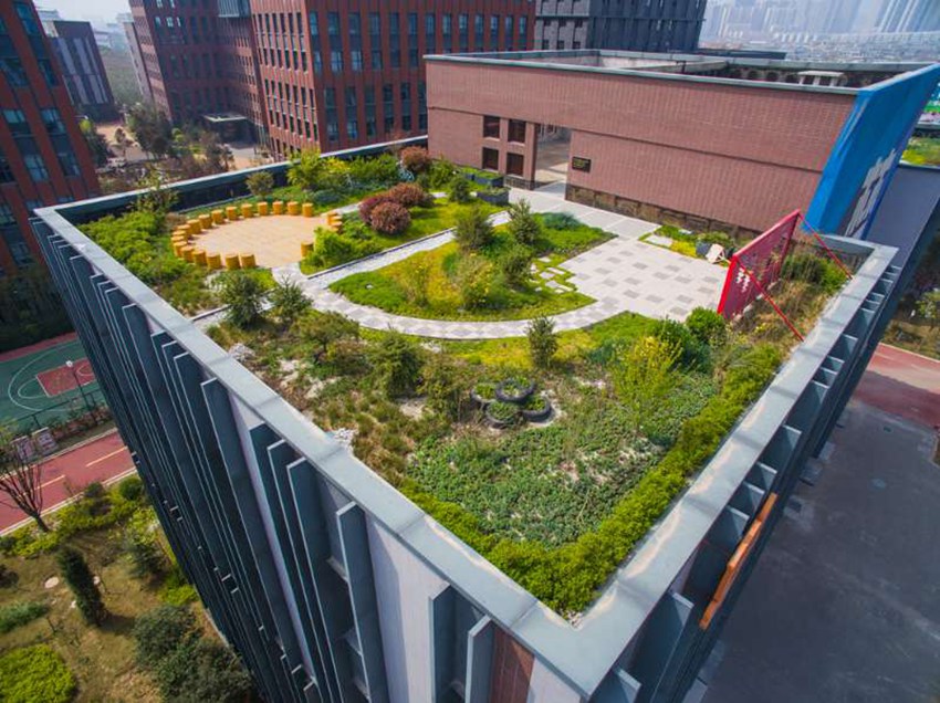 绿色城市建设推动绿色科技普及应用之道