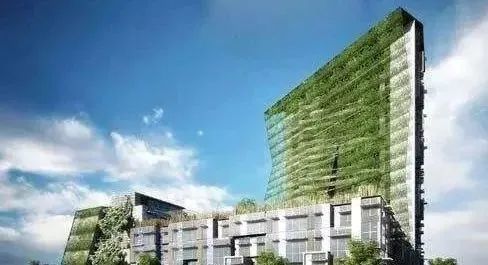环保建筑设计，减少碳排放与优化资源利用的策略实施指南