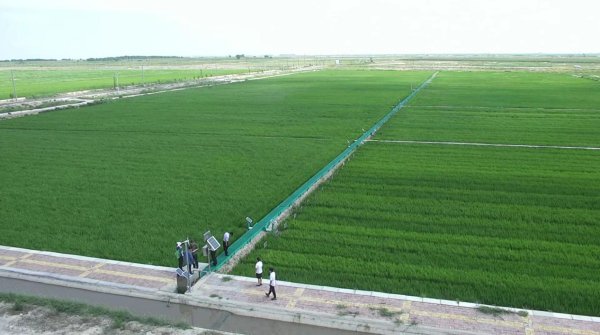 节能建筑助力绿色经济腾飞之道