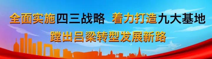 现代室内设计与生态友好型材料的完美融合