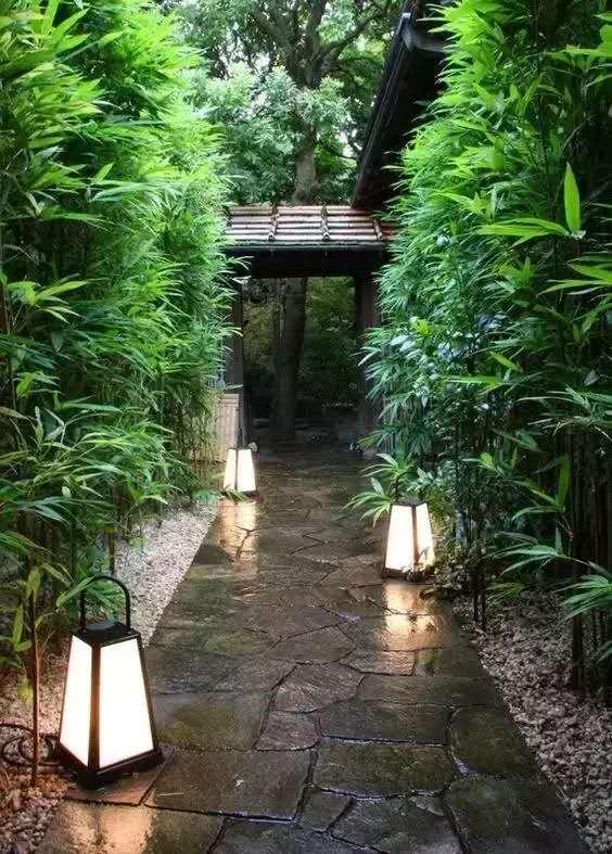 自然设计元素对室内空间的深刻影响探究