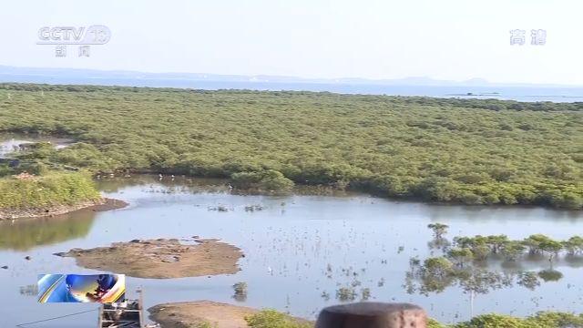 碧海蓝天 第6页