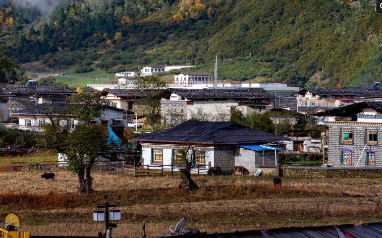 木制建筑结构对绿色建筑的影响与效益探究