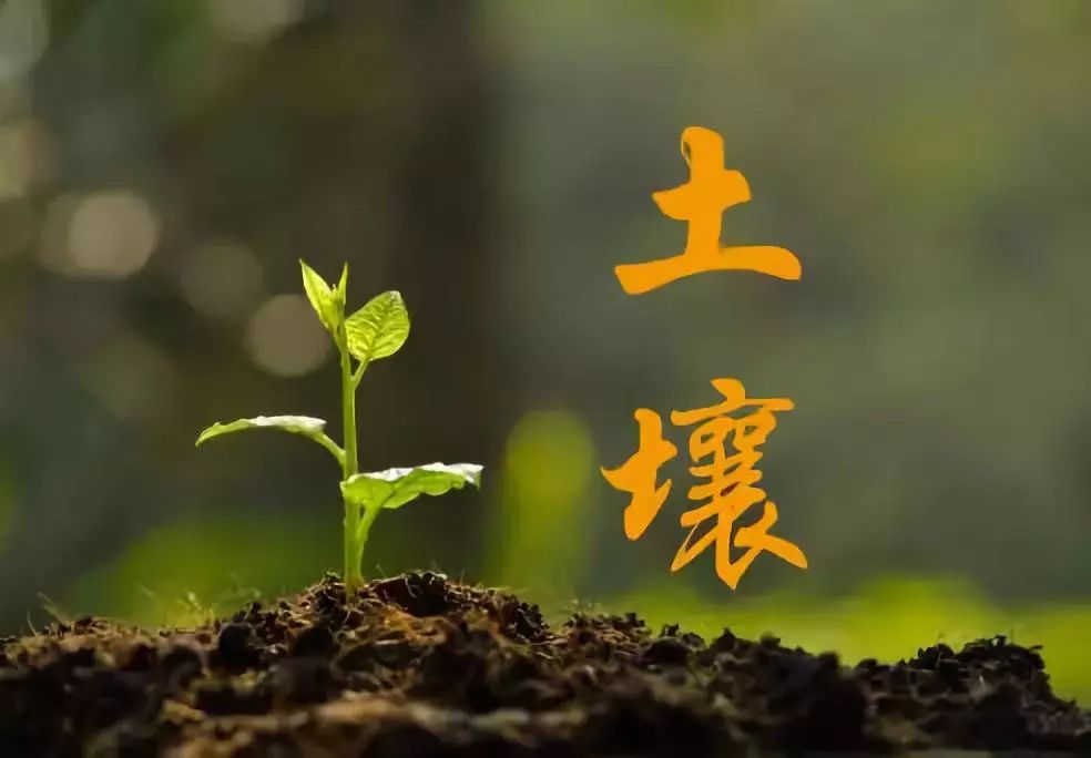 清风掠过 第6页