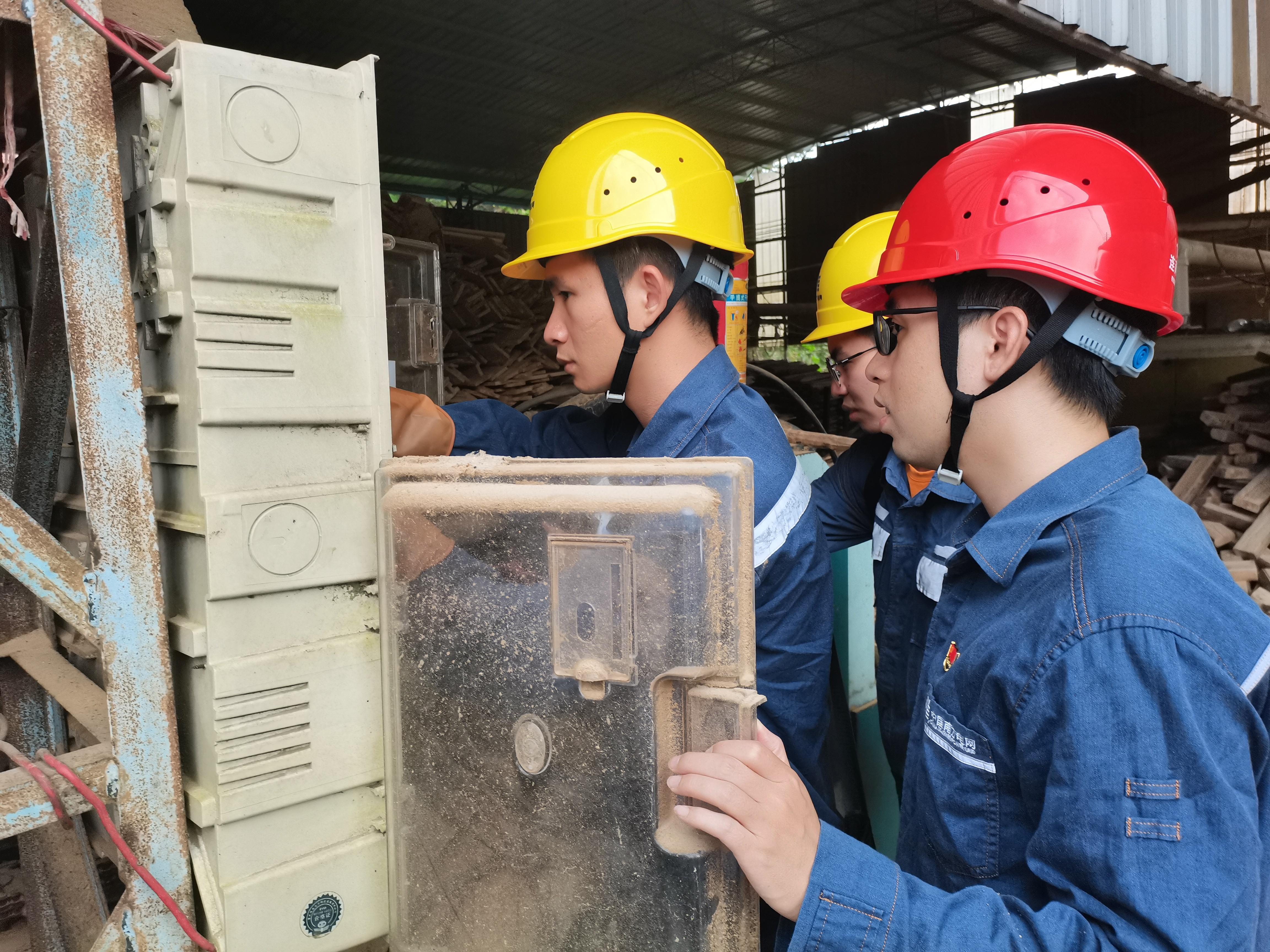 木材可再生性与低碳生活实践方案探索