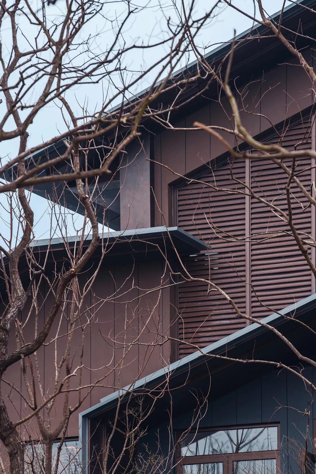 自然美学在城市规划与建筑设计中的融入与体现