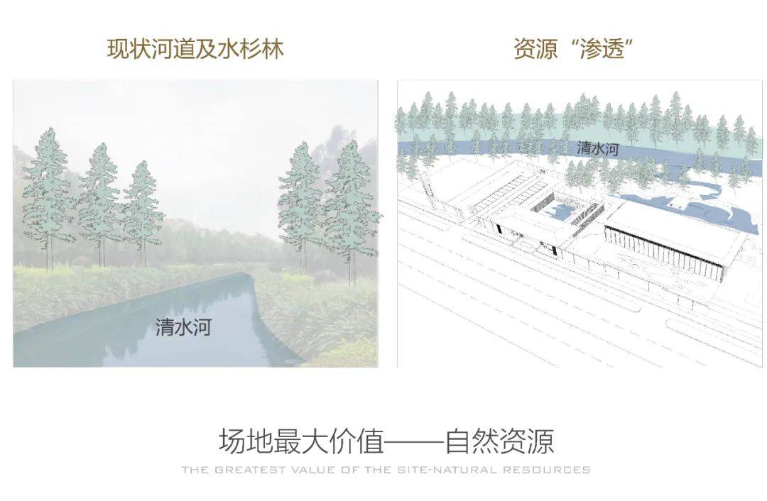 自然资源在现代设计中的独特价值及其创新应用