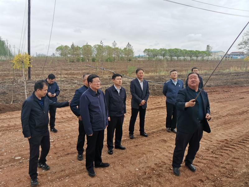 环保材料对城市绿化设计的影响及意义探讨