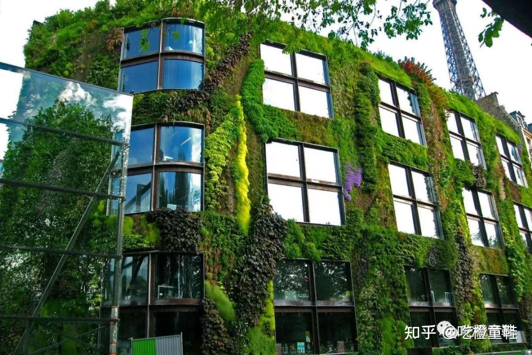 绿色建筑理念引领家居空间设计的新挑战与创新