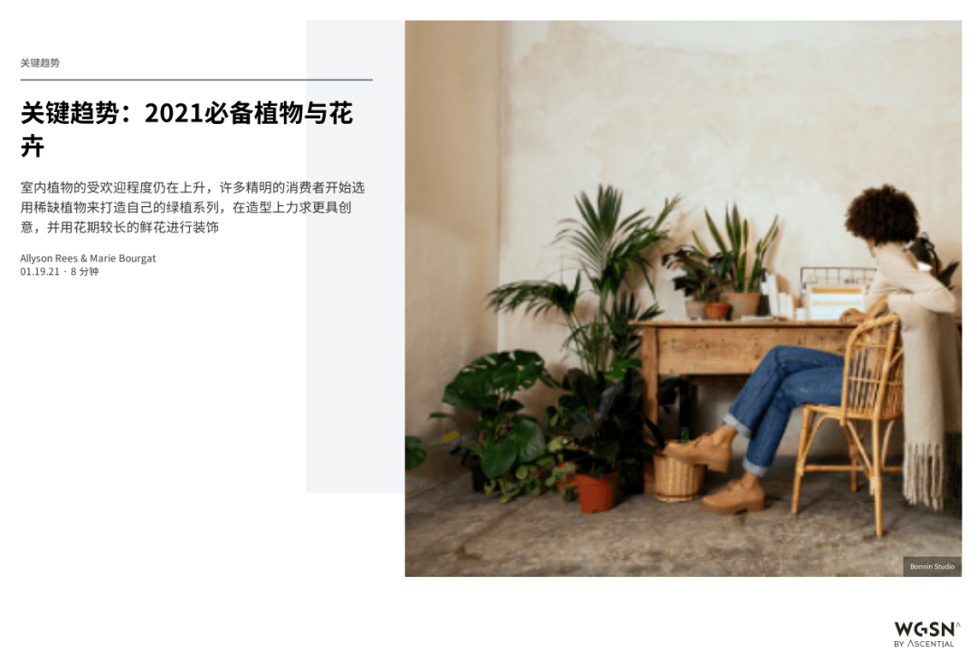 创意家居设计，自然灵感与绿色元素融合之美